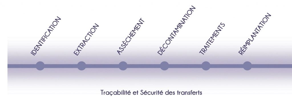 Etapes de traitement